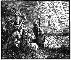 Shepard attending sheep in the Holy Land